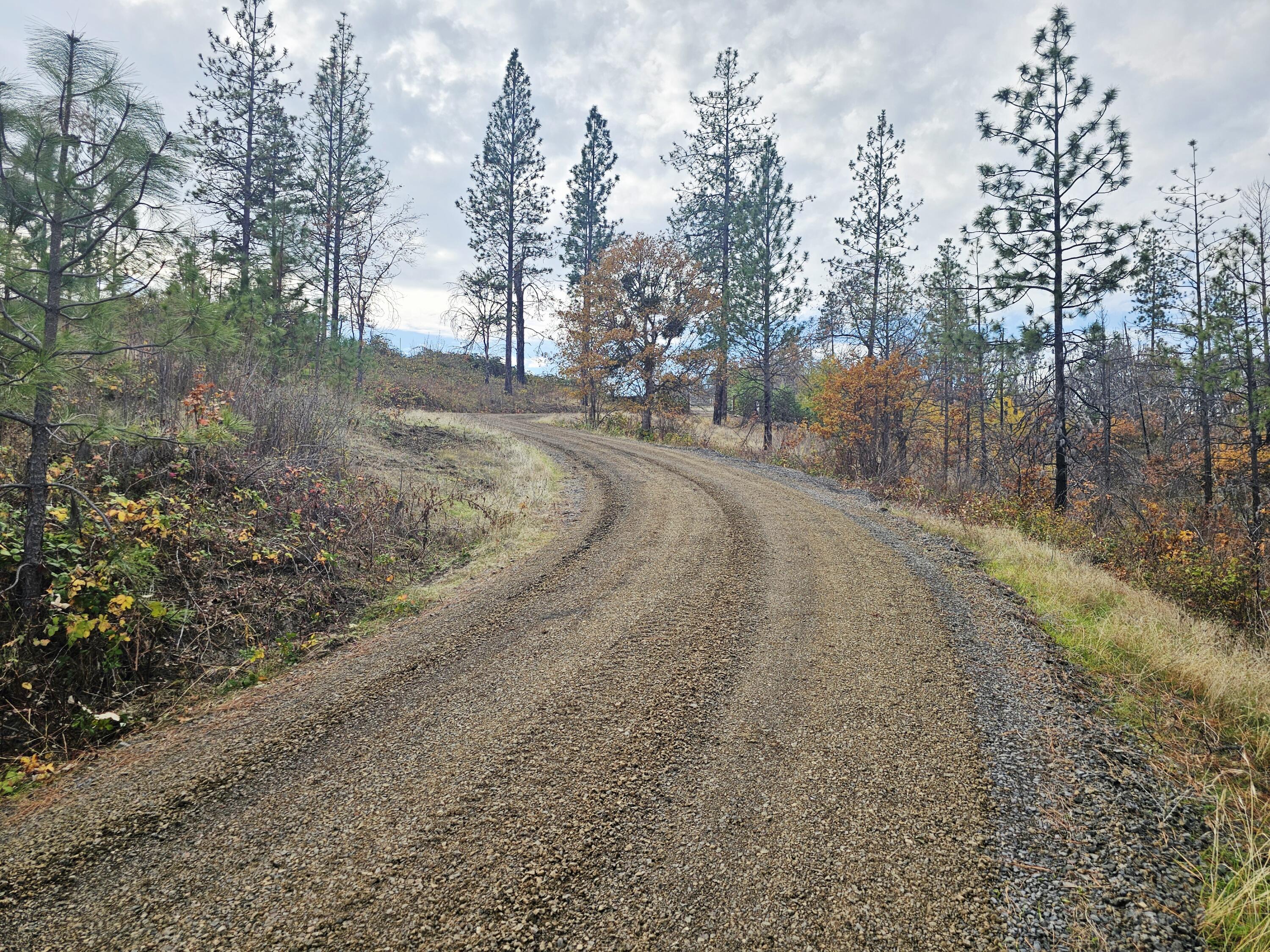2162 Butte Falls Highway Eagle Point, OR 97524 - Photo 8 of 63 8 Driveway