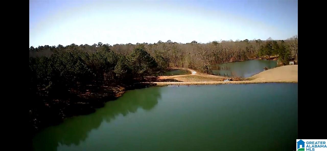 0 Pine Mountain Road, Unit 1 Springville, AL 35146 - Photo 10 of 15 Gallery Image 10