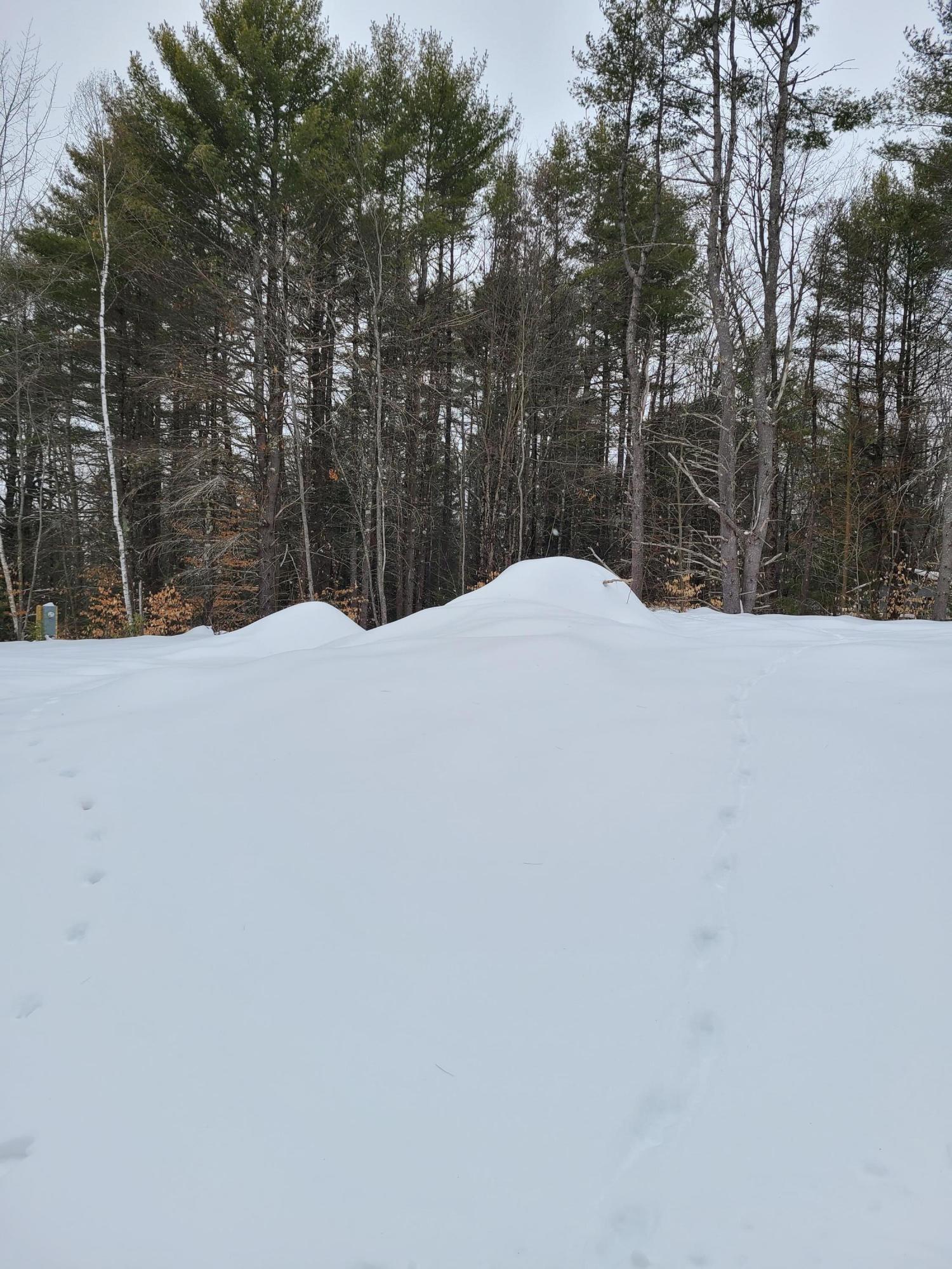 91 Whitetail Ridge Road Bridgton, ME 04009 - Photo 11 of 11 front yard