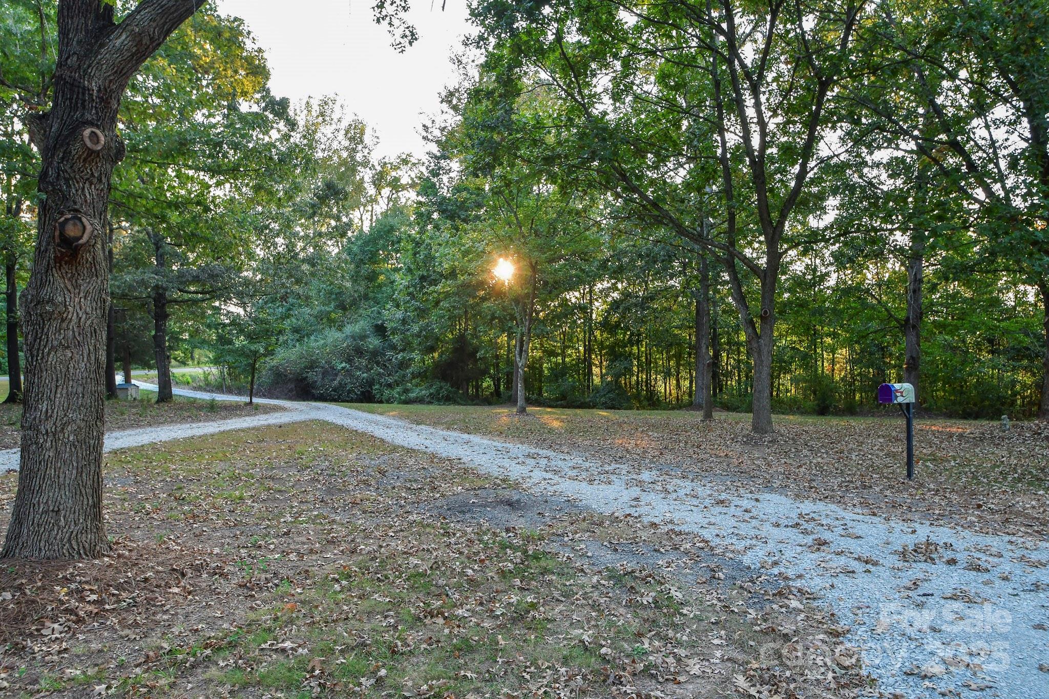 7817 Carl Polk Road Monroe, NC 28110 - Photo 10 of 22