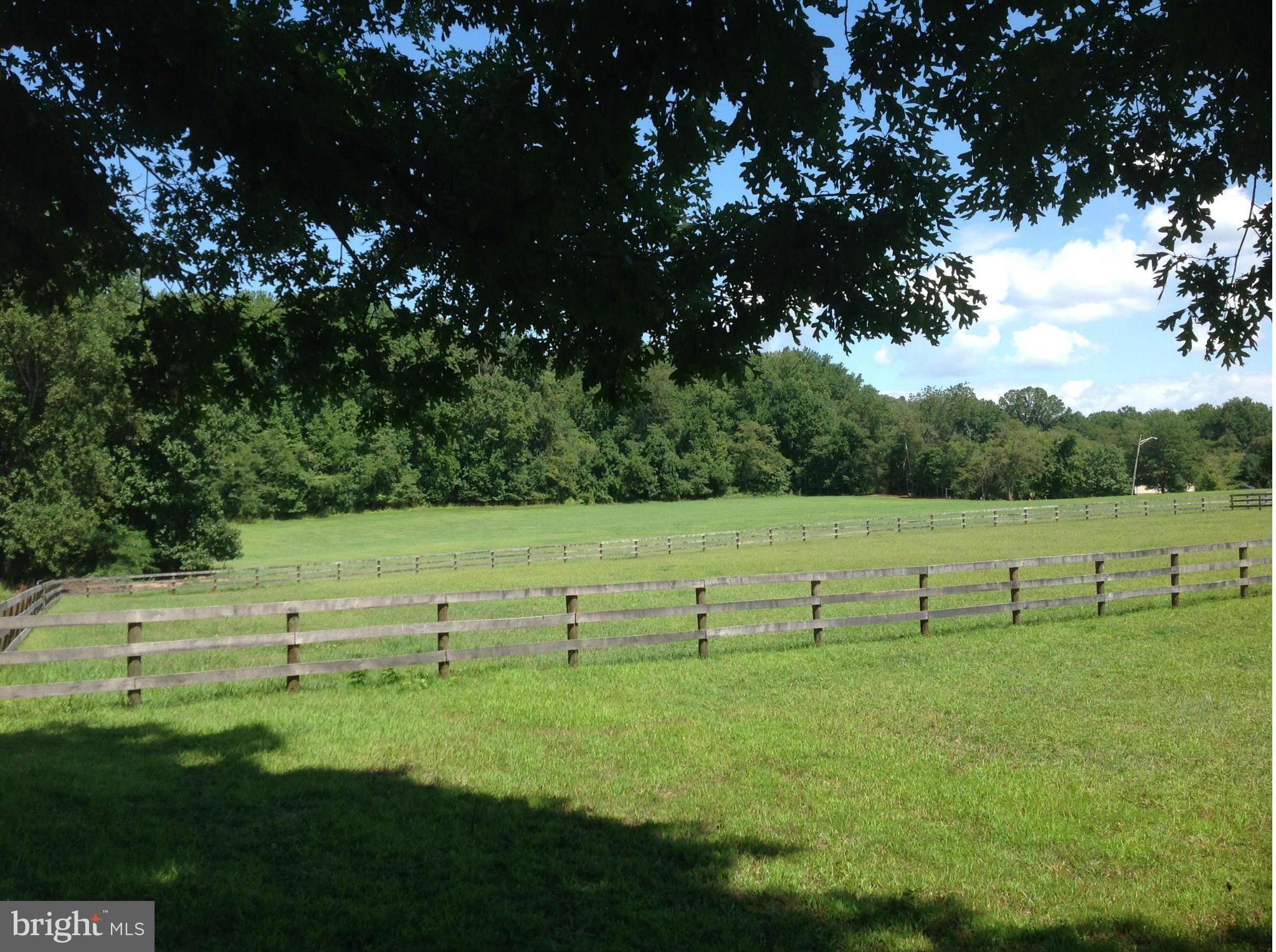 1240 Rossback Road Davidsonville, MD 21035 - Photo 2 of 25 pasture