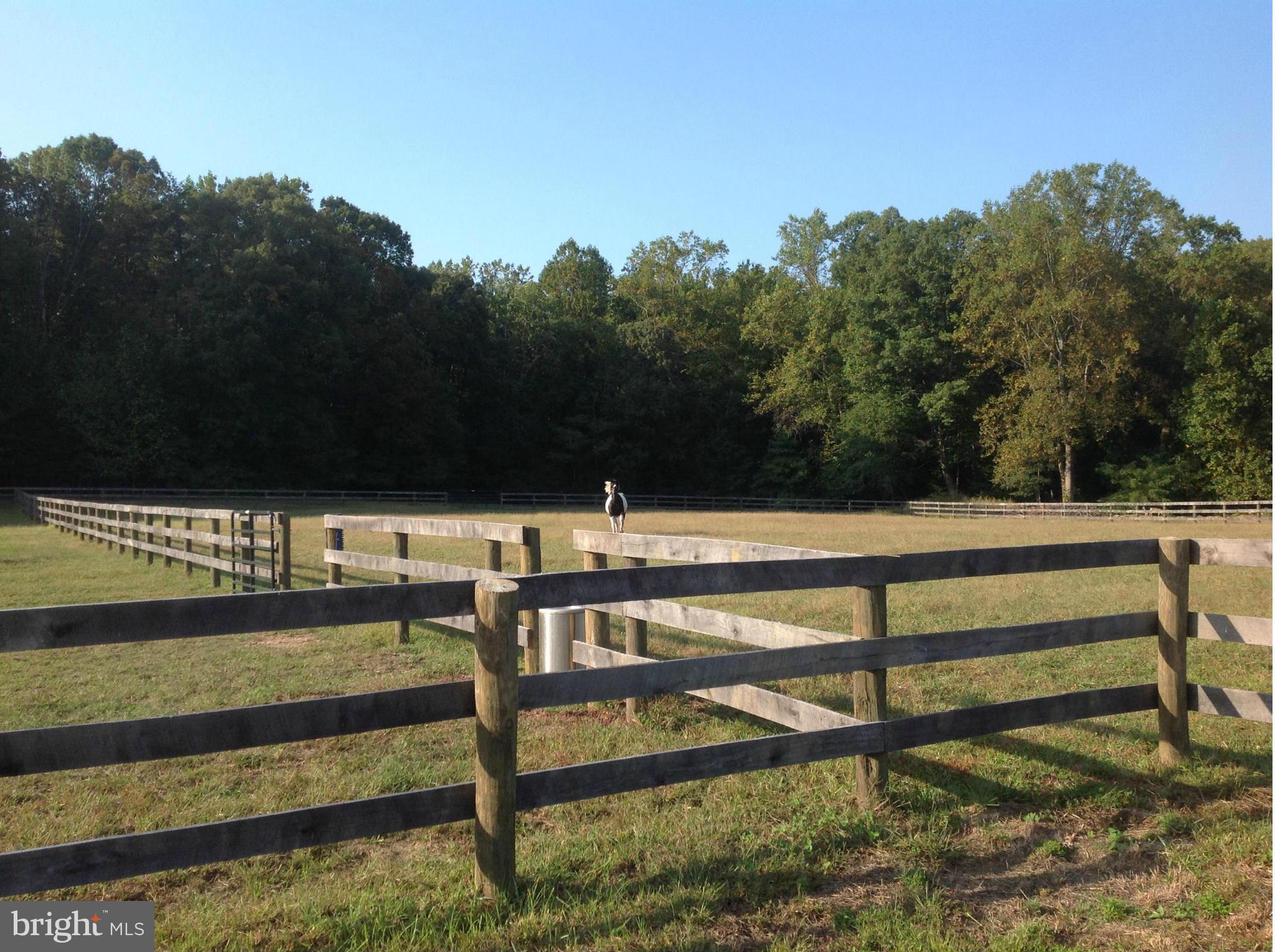 1240 Rossback Road Davidsonville, MD 21035 - Photo 3 of 25 Pasture