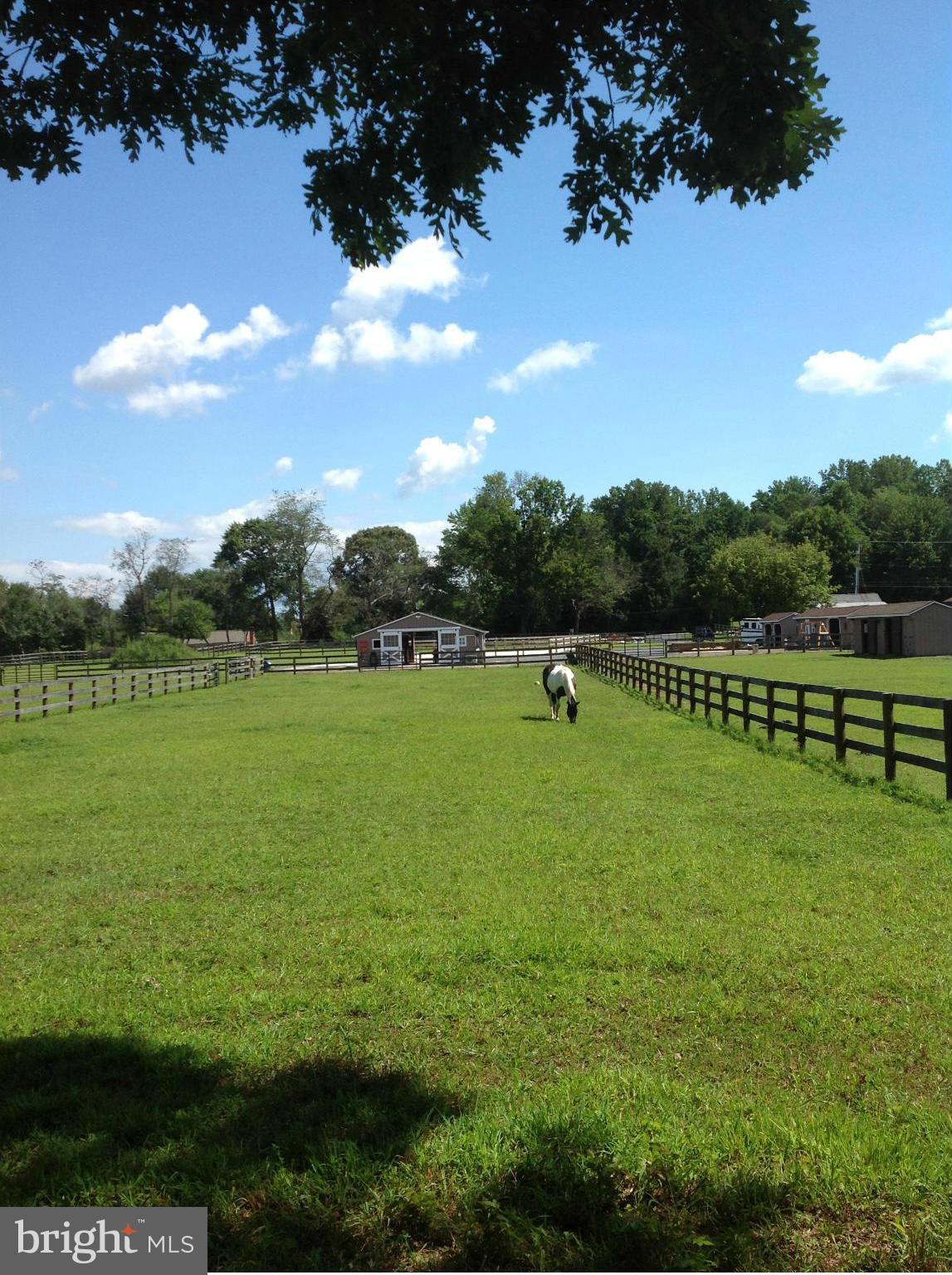 1240 Rossback Road Davidsonville, MD 21035 - Photo 4 of 25 Pasture