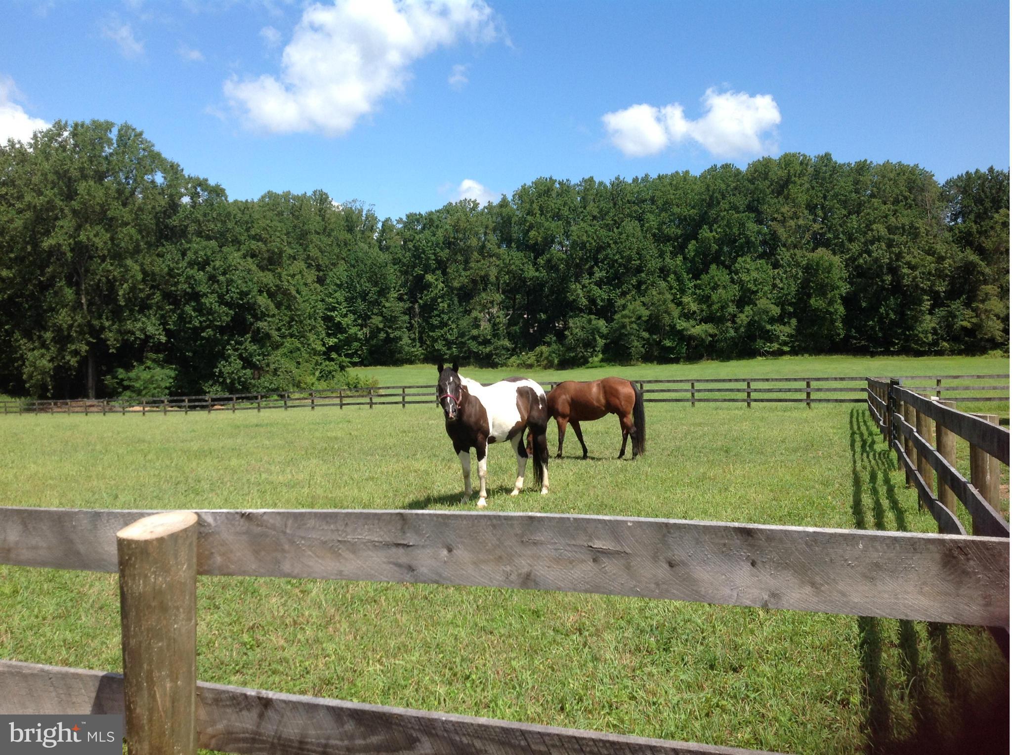 1240 Rossback Road Davidsonville, MD 21035 - Photo 5 of 25 Pasture
