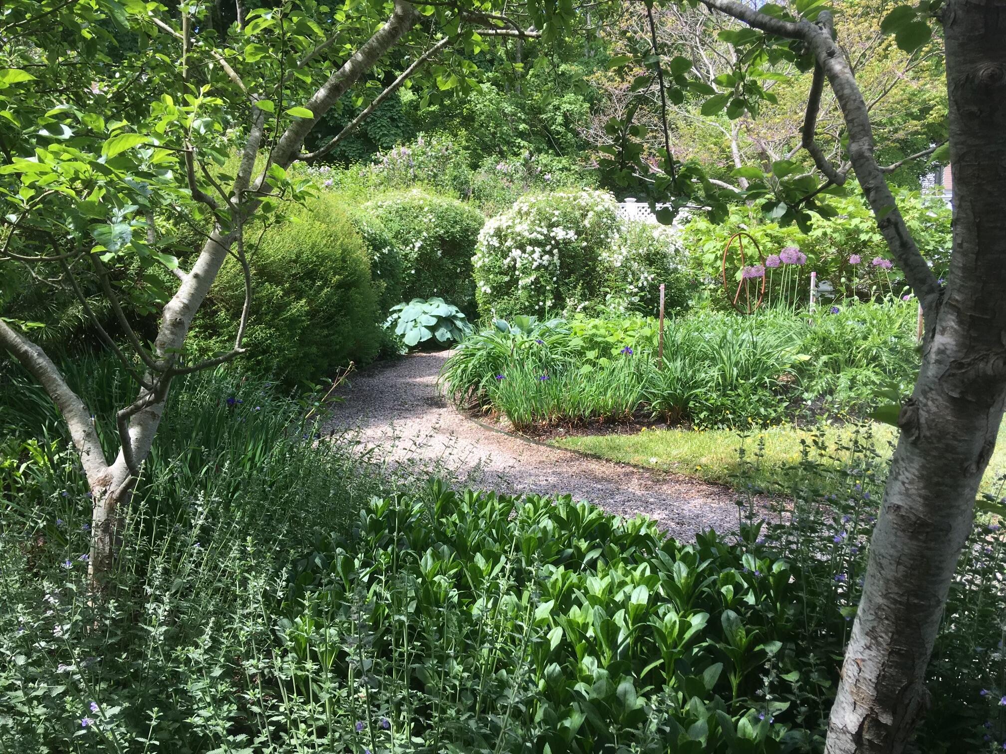 223 Main Street Wellfleet, MA 02667 - Photo 65 of 70 IMG_7786