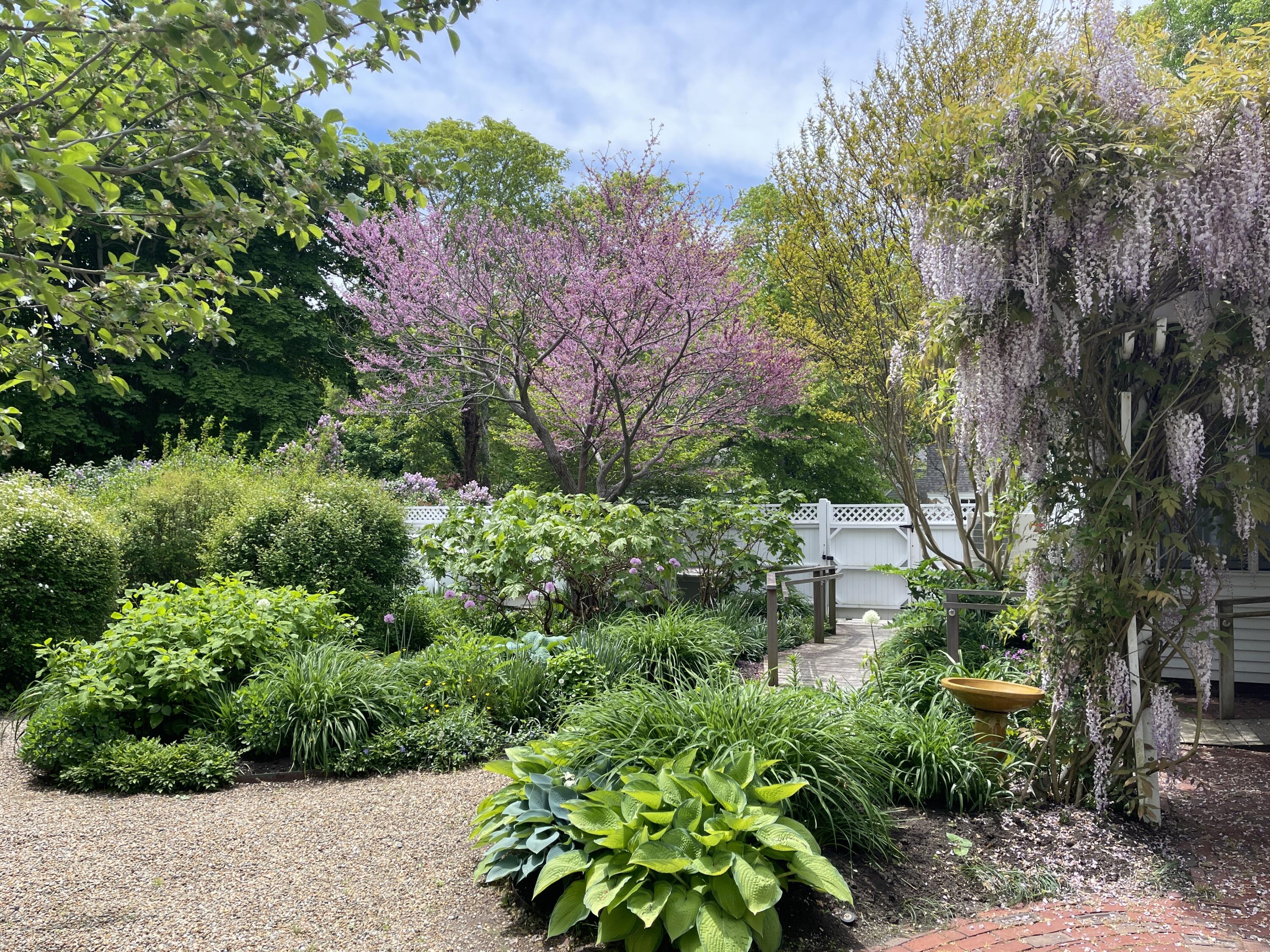 223 Main Street Wellfleet, MA 02667 - Photo 10 of 70 a view of a garden with plants and large trees