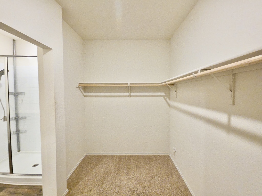 13525 Open Wagon Trail Elgin, TX 78621 - Photo 15 of 26 Walk in closet with light colored carpet