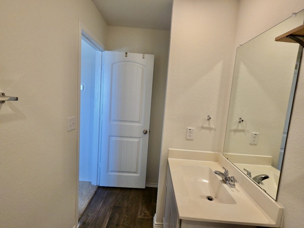 13525 Open Wagon Trail Elgin, TX 78621 - Photo 20 of 26 Bathroom featuring vanity and dark wood-style flooring