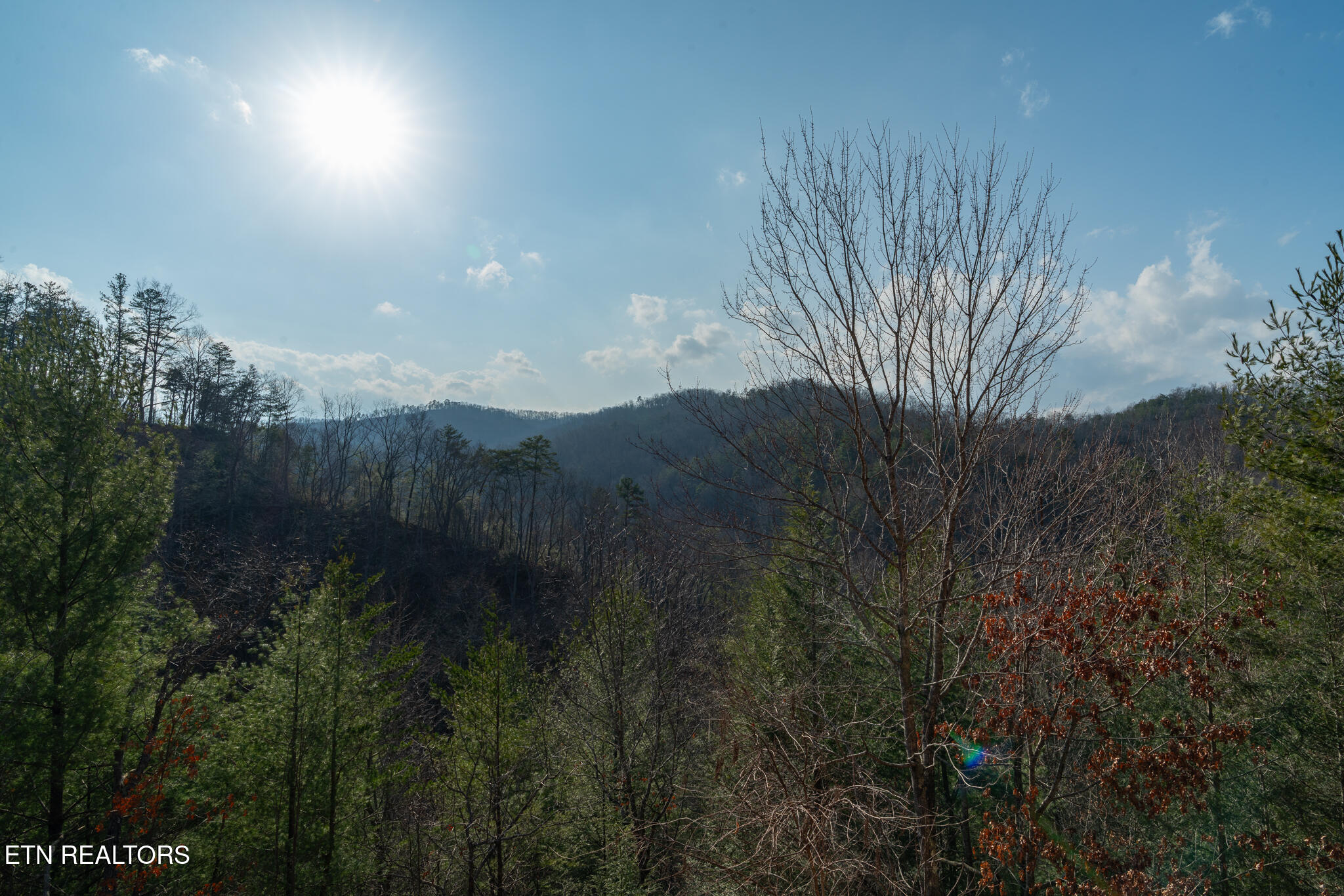 3310 Smoky Ridge Way Sevierville, TN 37862 - Photo 40 of 52 untitled-40