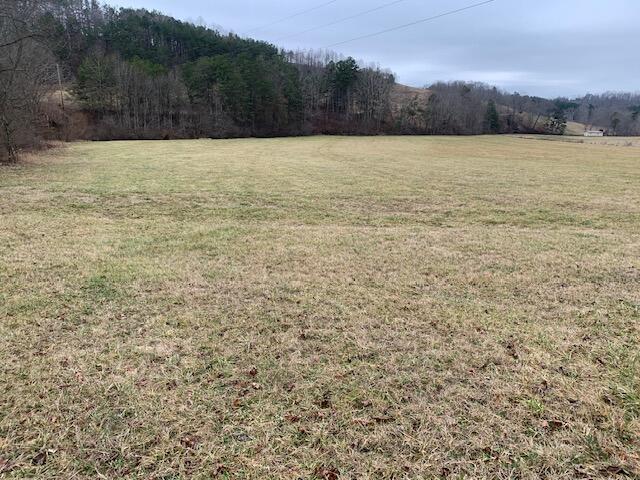 810 Peter Cave Road McKee, KY 40447 - Photo 7 of 9 Acreage 4