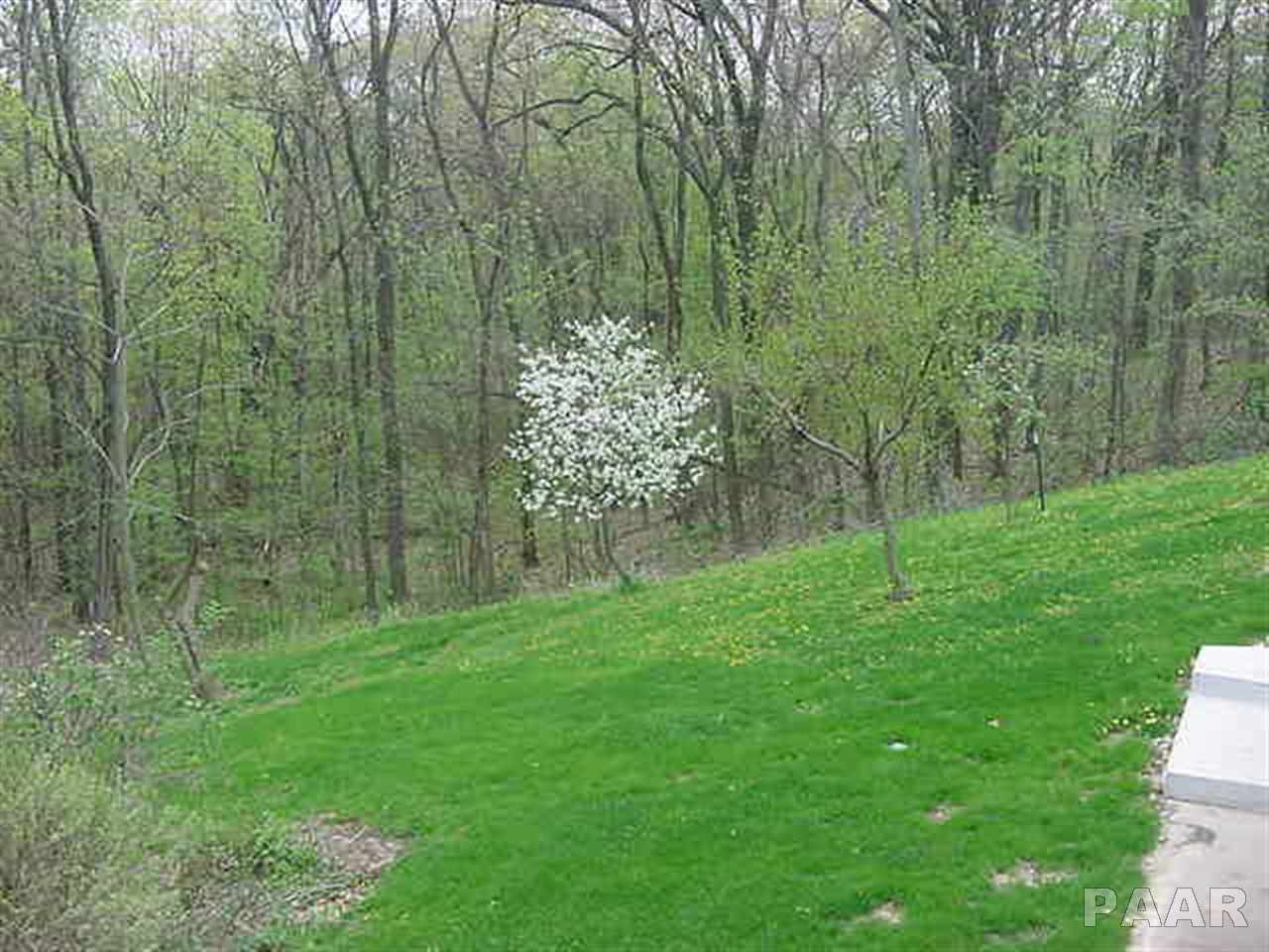 1425 North Kickapoo Creek Road Peoria, IL 61604 - Photo 20 of 20 Gallery Image 20