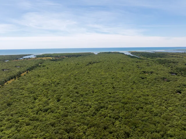 a view of a city with lush green forest