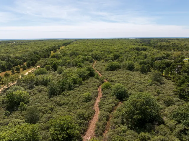 an aerial view of residential houses with outdoor space and trees