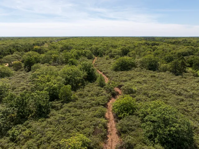 a view of a field with an ocean