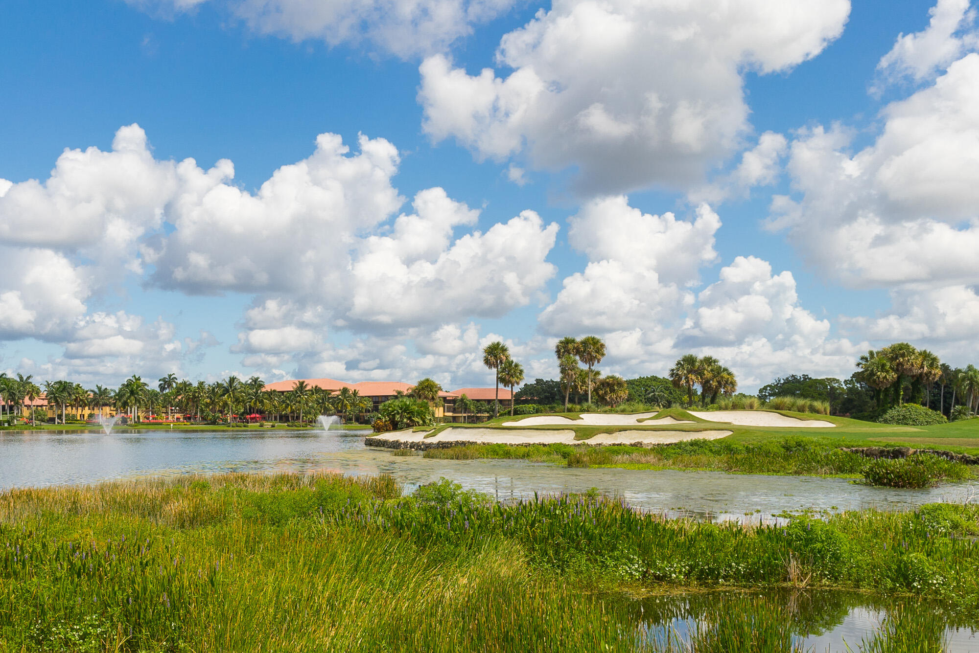 25 Commodore Place Palm Beach Gardens, FL 33418 - Photo 51 of 68 a view of a lake and houses in the background