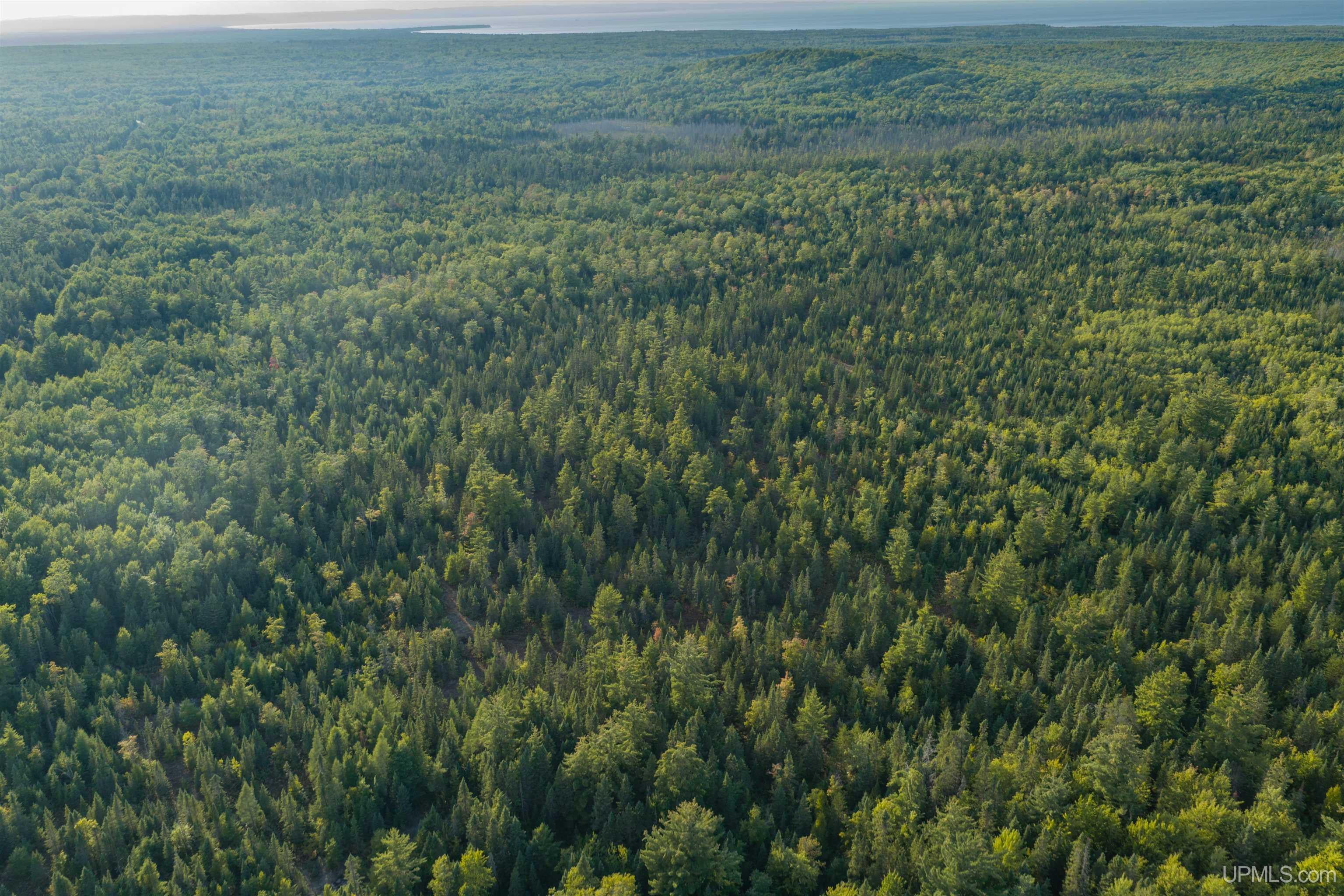 120 Acres Parcel B Off Deerton Road Deerton, MI 49822 - Photo 10 of 11 Gallery Image 10
