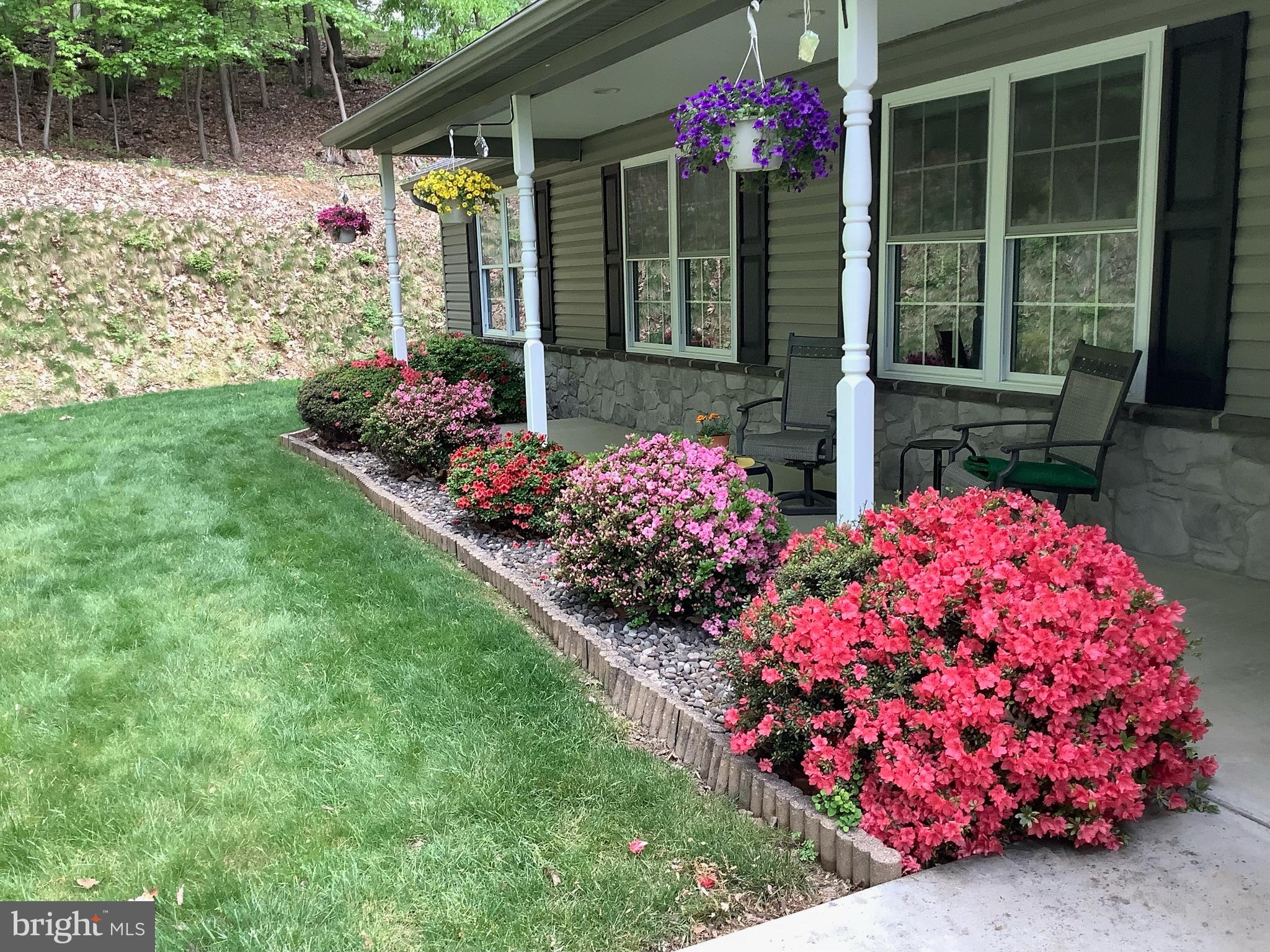 1127 Kuhn Road Boiling Springs, PA 17007 - Photo 43 of 46 Azaleas Blooming