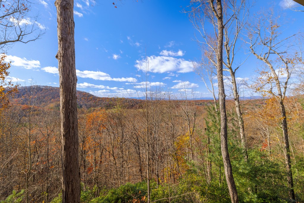 145 Hoot Owl Ridge Morganton, GA 30560 - Photo 50 of 50 Gallery Image 50