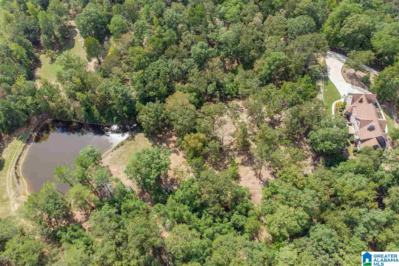 7476 Bear Creek Road Sterrett, AL 35147 - Photo 2 of 50