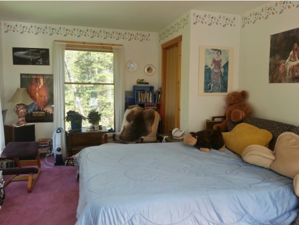 2129 Trucott Road Holland, VT 05830 - Photo 11 of 34 Gallery Image 11