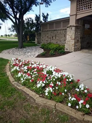 a street view with flowers and trees