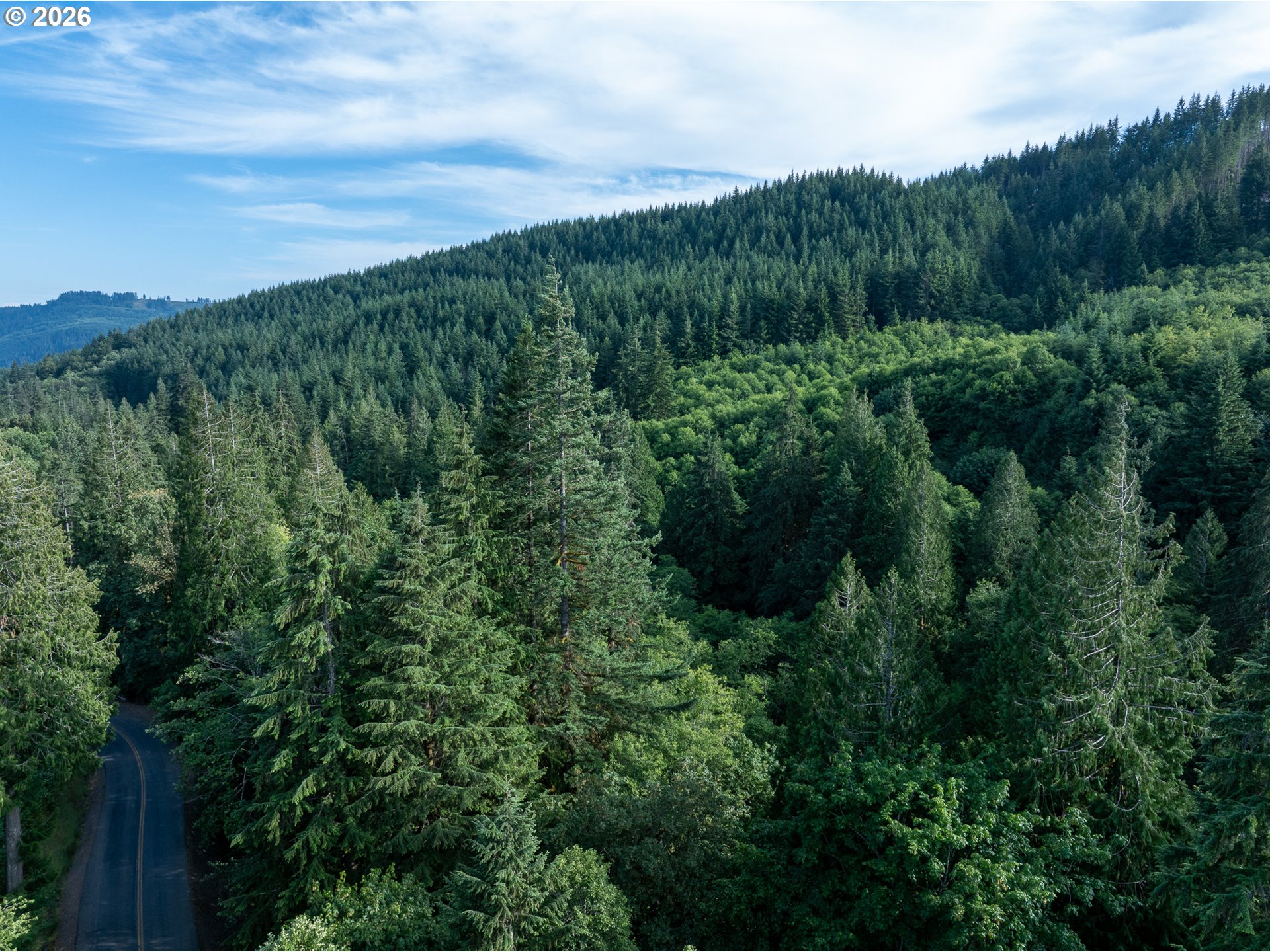 0 North Dubois Road Ariel, WA 98603 - Photo 11 of 19