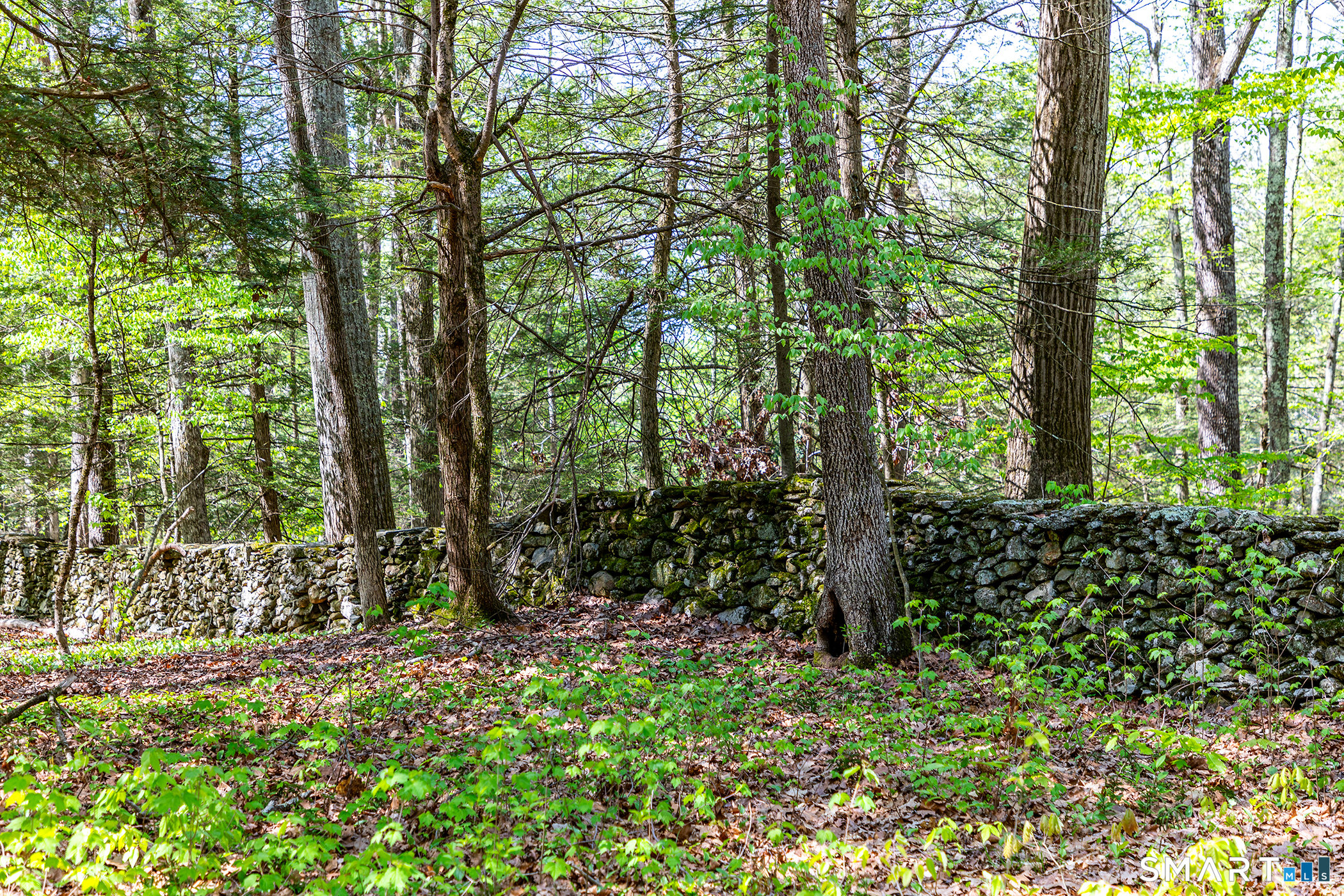 18 Curtis Road Washington, CT 06793 - Photo 29 of 32 Beautiful stonewalls