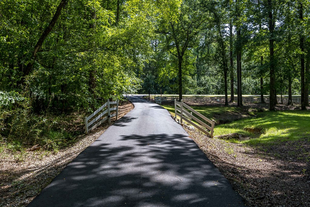 12225 County Line Road Midland, GA 31820 - Photo 4 of 66 Gallery Image 4
