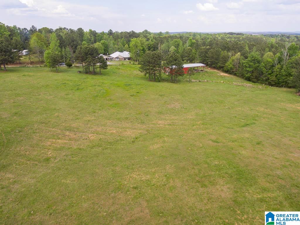 1210 County Road 61 Clanton, AL 35046 - Photo 46 of 50