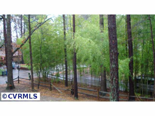 10215 Rounding Run Henrico, VA 23238 - Photo 10 of 10 Other - Quiet setting in sought after area!
