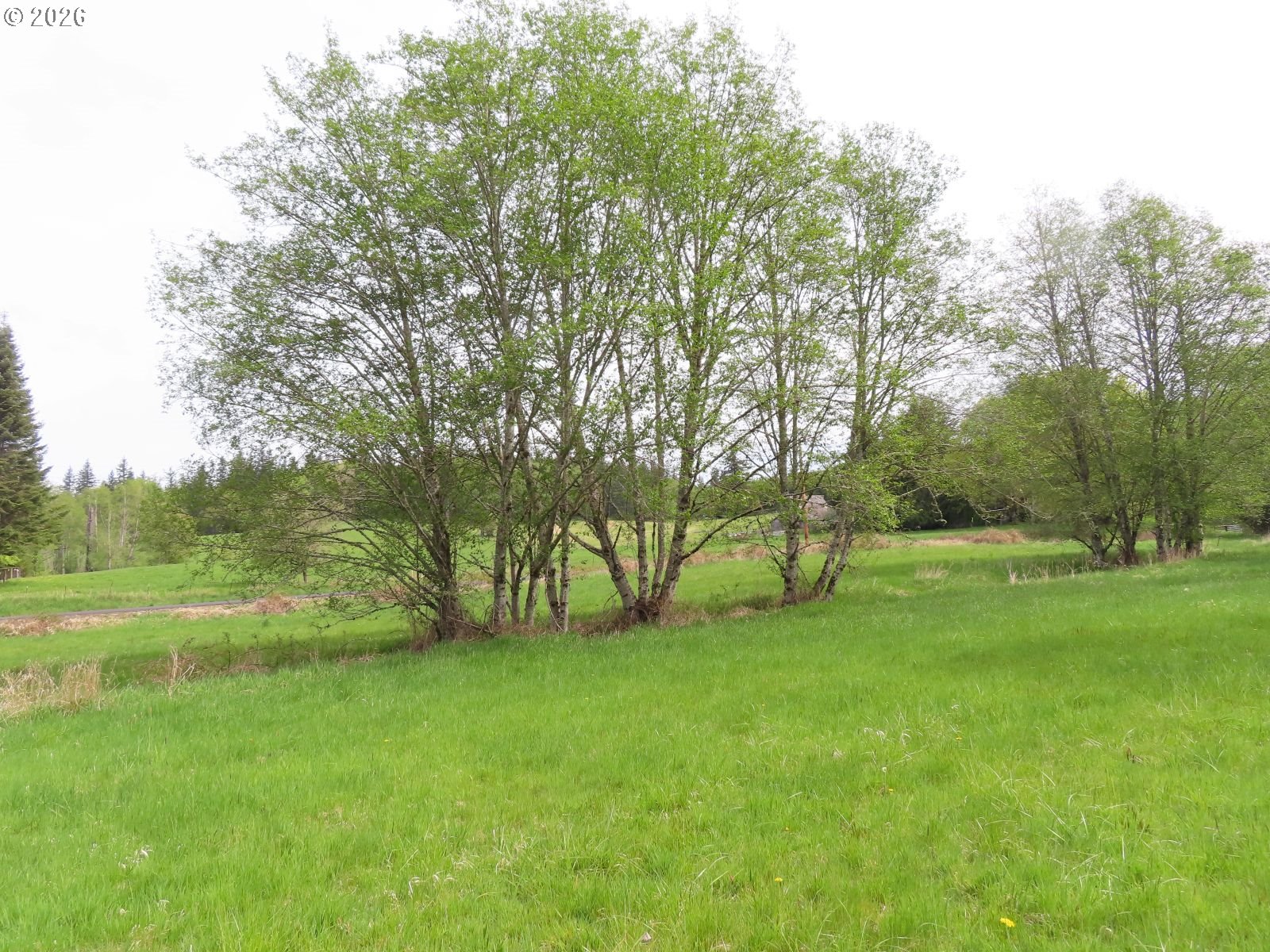 Hagen Road Mossyrock, WA 98564 - Photo 25 of 29