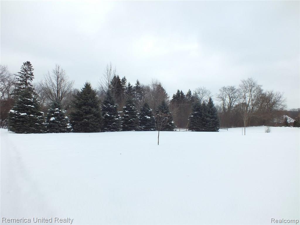 37297 Howard Road Farmington, MI 48331 - Photo 58 of 62 view from driveway.JPG