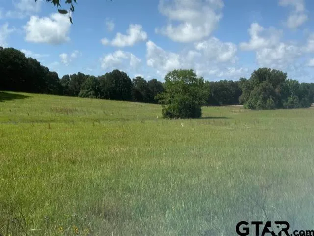 $225,000 | 4194 Tr 1-3 Henderson Tx 75654, Henderson, TX 75654