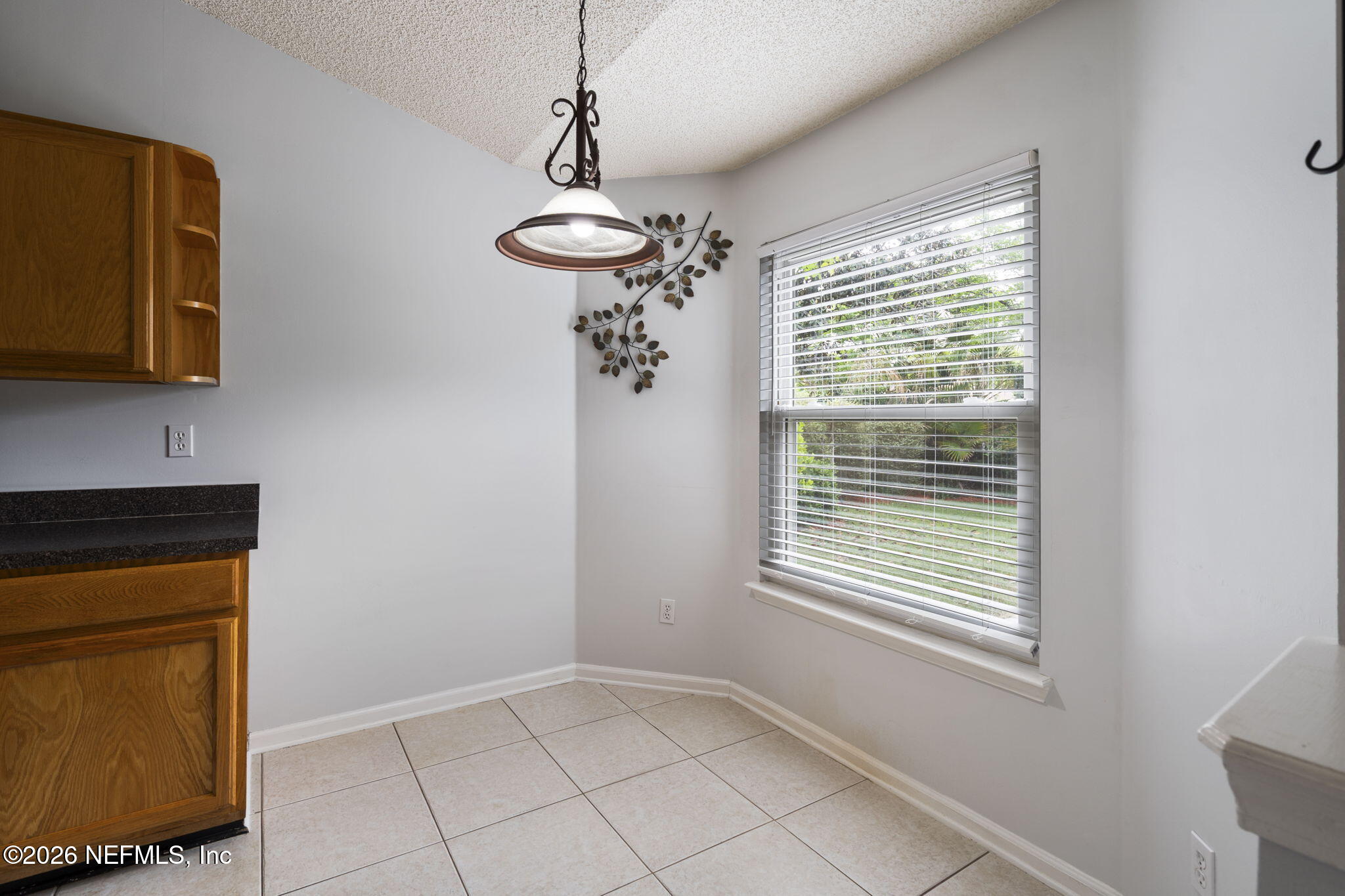 415 Federal Hill Road Orange Park, FL 32073 - Photo 15 of 36 11-web-or-mls-DSC00900