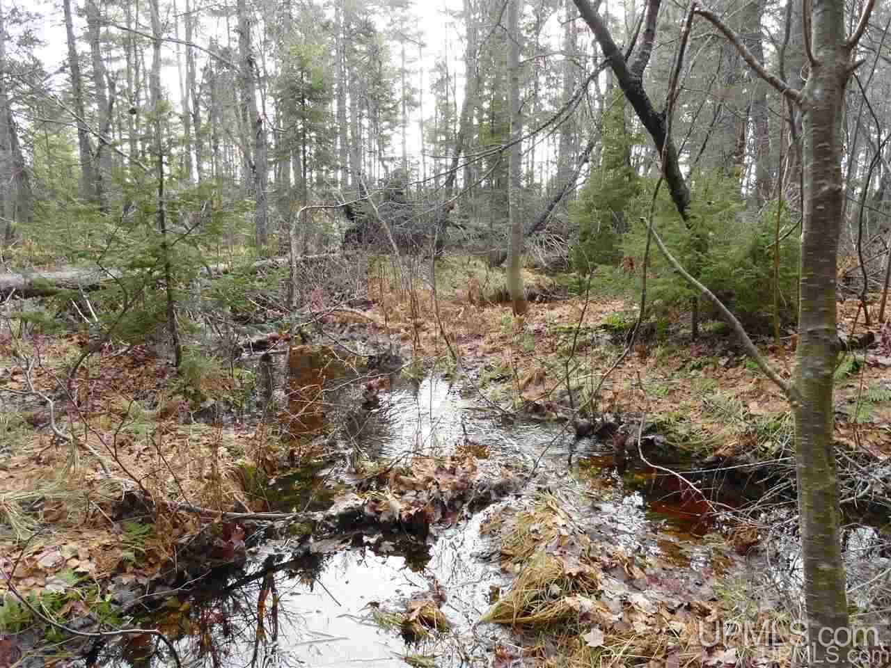 80-acres 80-acres Co Road Negaunee, MI 49866 - Photo 40 of 45