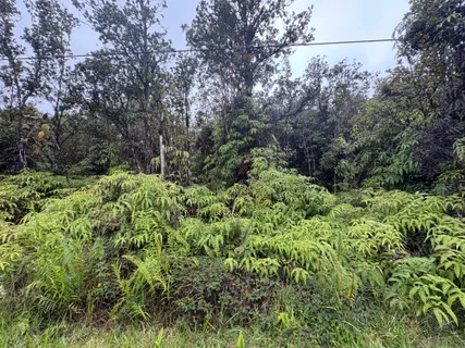 $30,000 | 5 Ohia Avenue, Mountain View, HI 96771