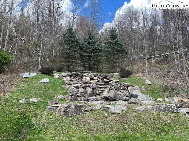 a view of a back yard