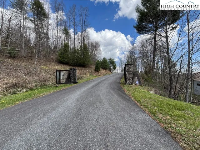 a view of a street with a large trees