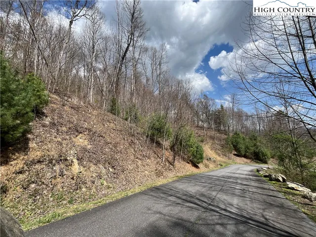 a view of backyard with green space
