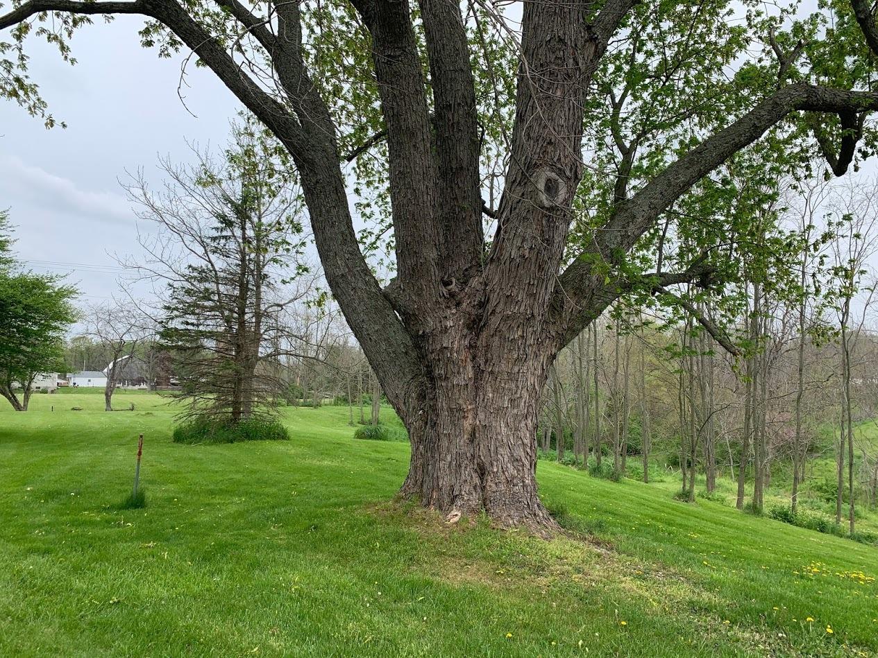 7033 Highway 252 Brookville, IN 47012 - Photo 16 of 22