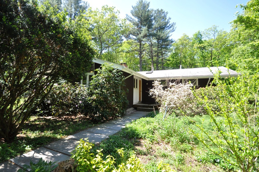 136 Temple Road Concord, MA 01742 - Photo 22 of 27 a view of an outdoor space with a tree
