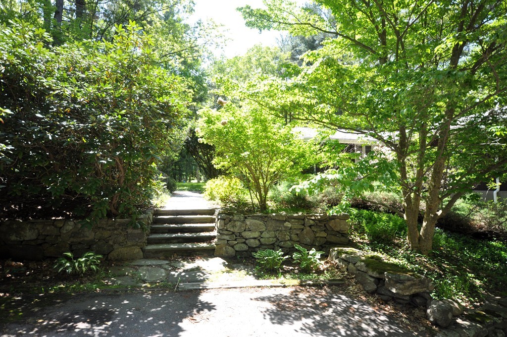 136 Temple Road Concord, MA 01742 - Photo 23 of 27 a backyard of a house with a tree