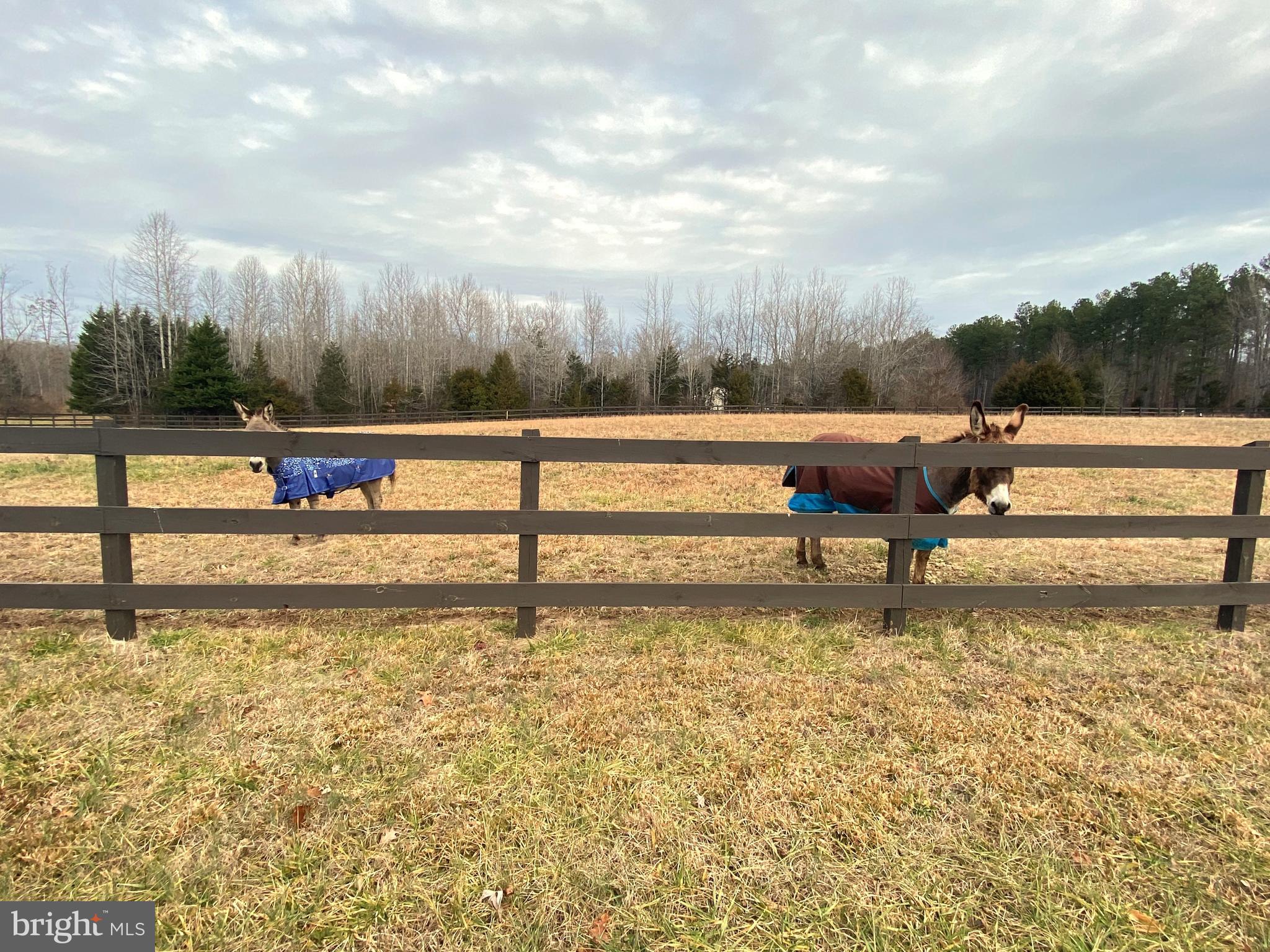 2271 Ridge Road Powhatan, VA 23139 - Photo 30 of 31