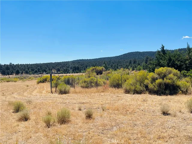 a view of a backyard with plants