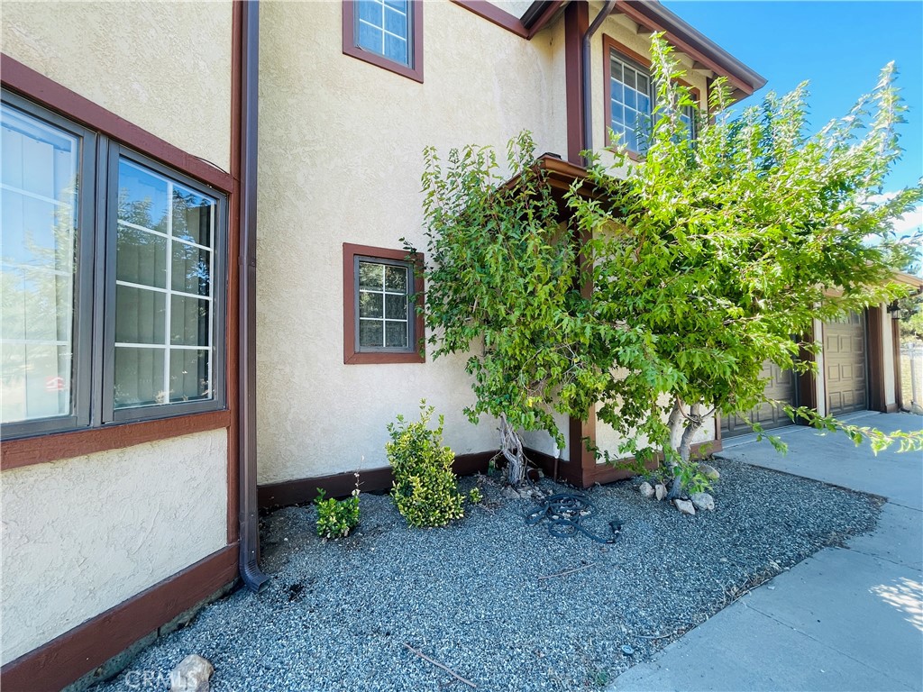 10500 Steinhoff Road Frazier Park, CA 93225 - Photo 26 of 75 a view of a backyard with plants
