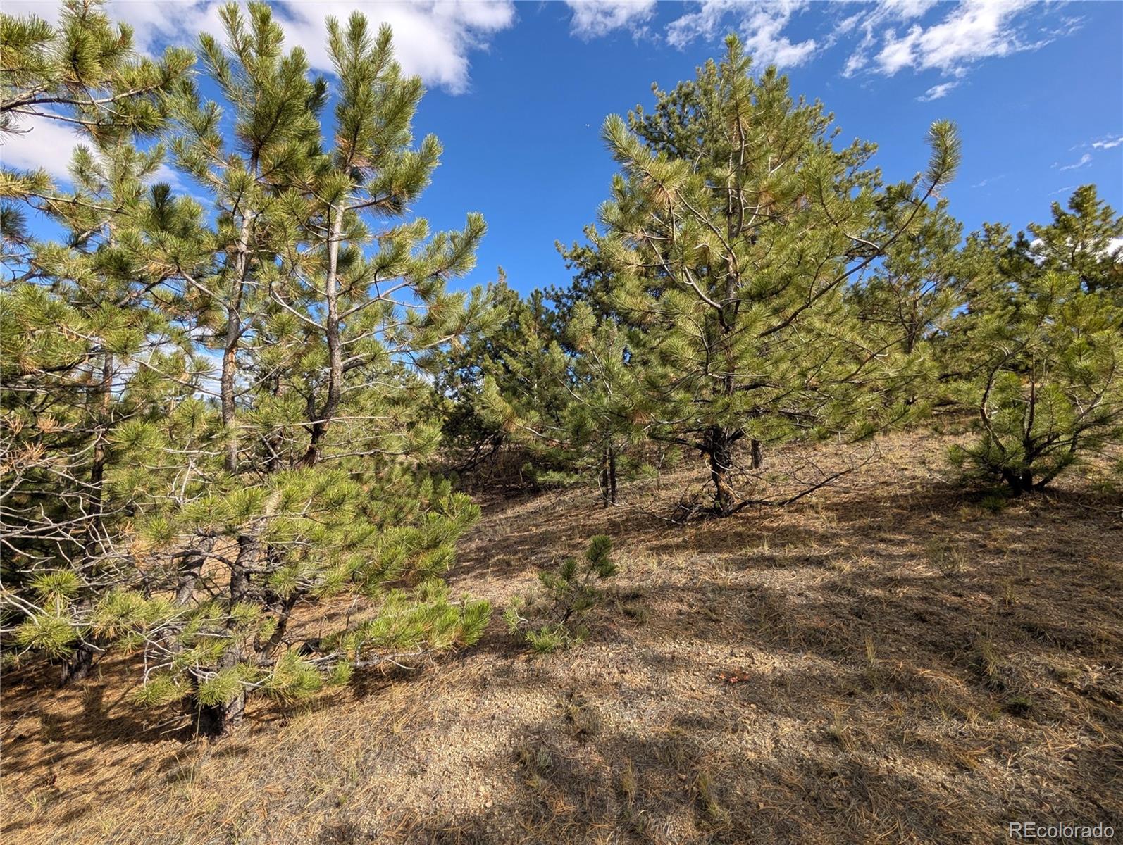 Tonkawa Road Hartsel, CO 80449 - Photo 14 of 16