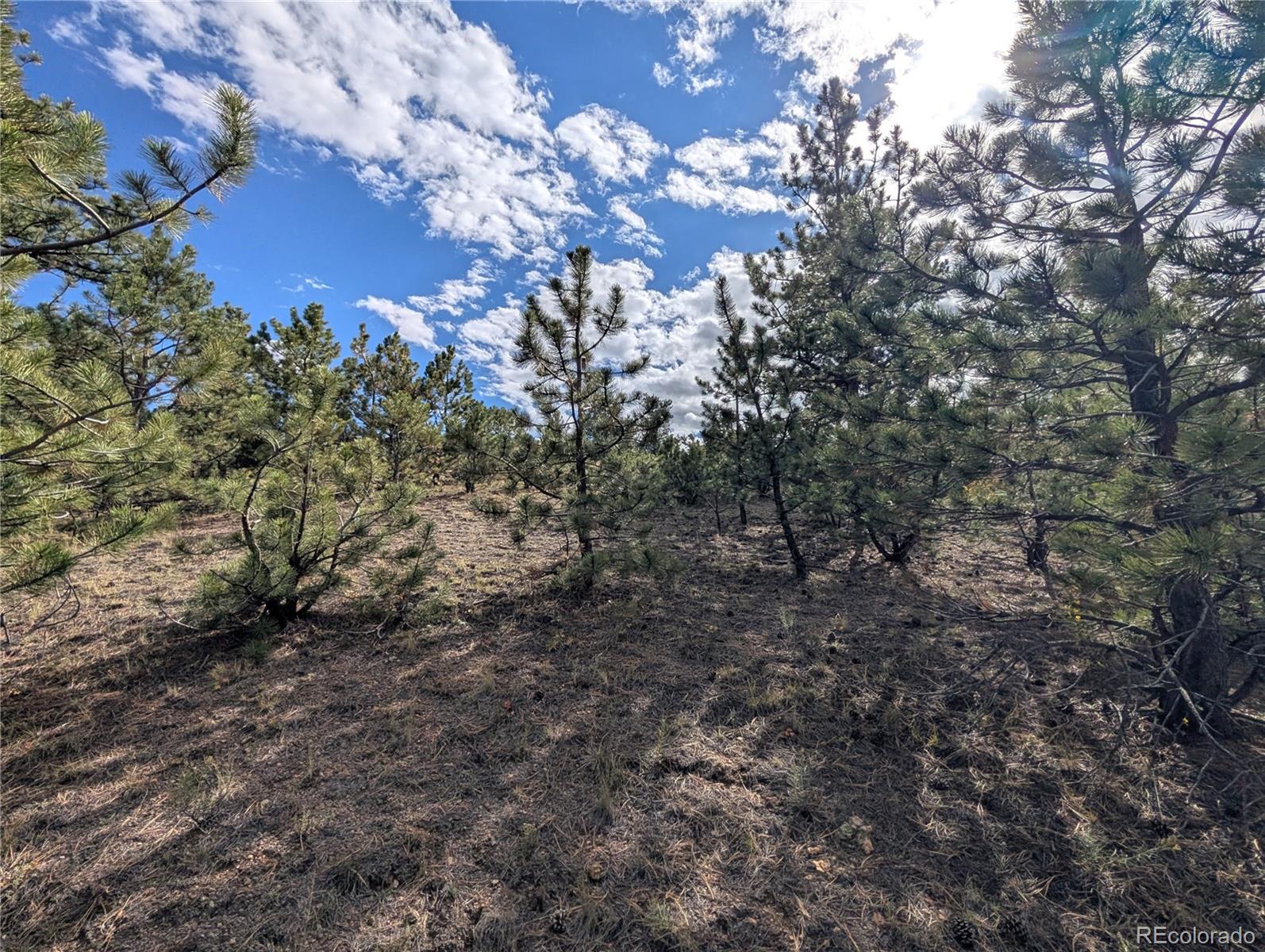 Tonkawa Road Hartsel, CO 80449 - Photo 15 of 16