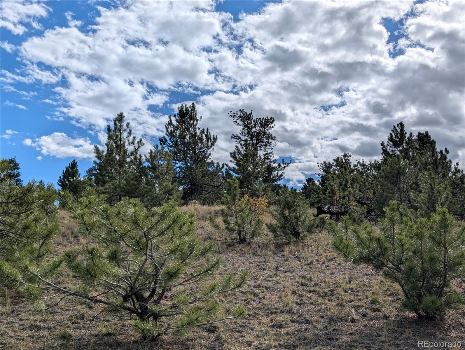 Tonkawa Road Hartsel, CO 80449 - Photo 2 of 16