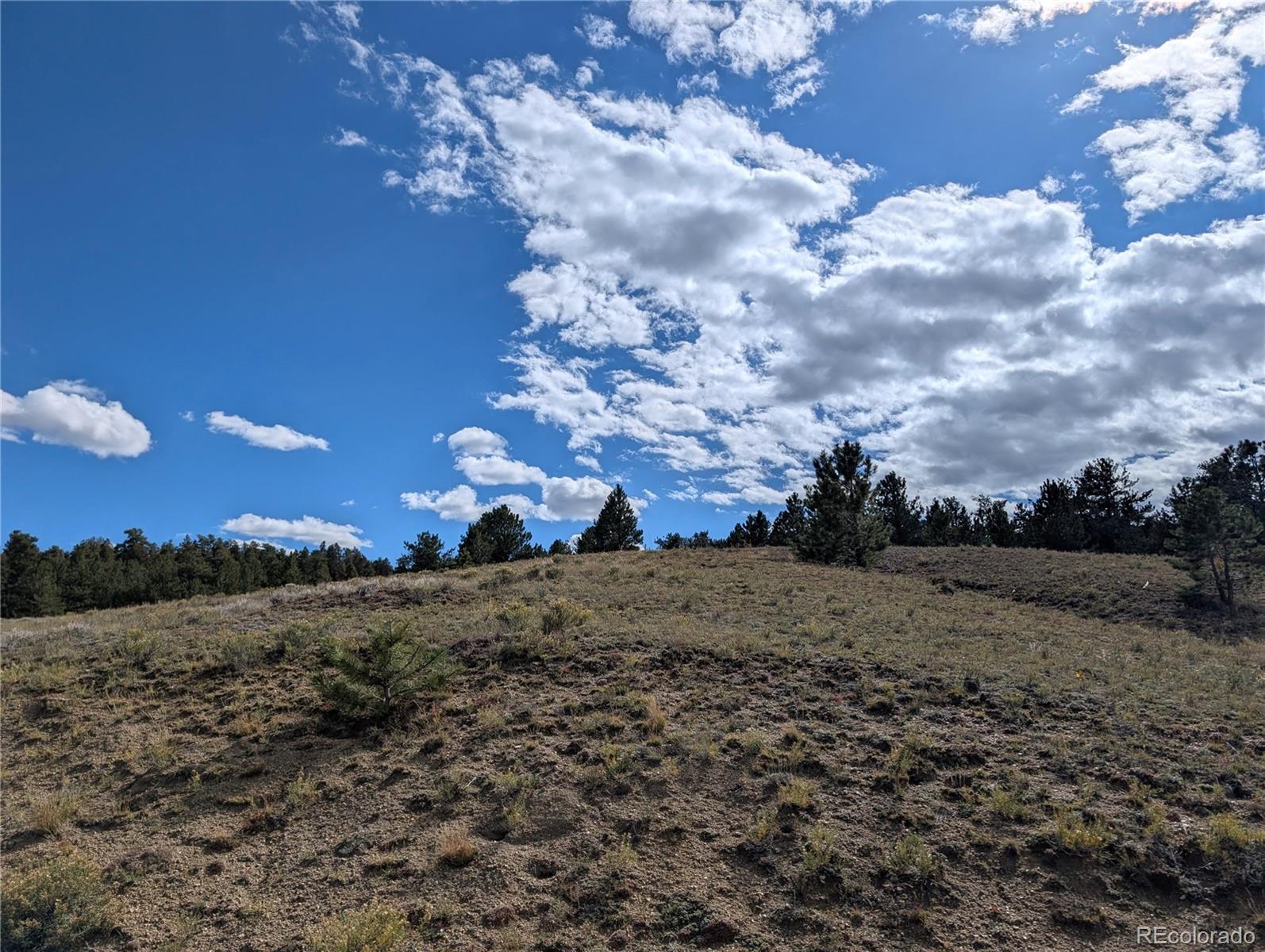 Tonkawa Road Hartsel, CO 80449 - Photo 7 of 16