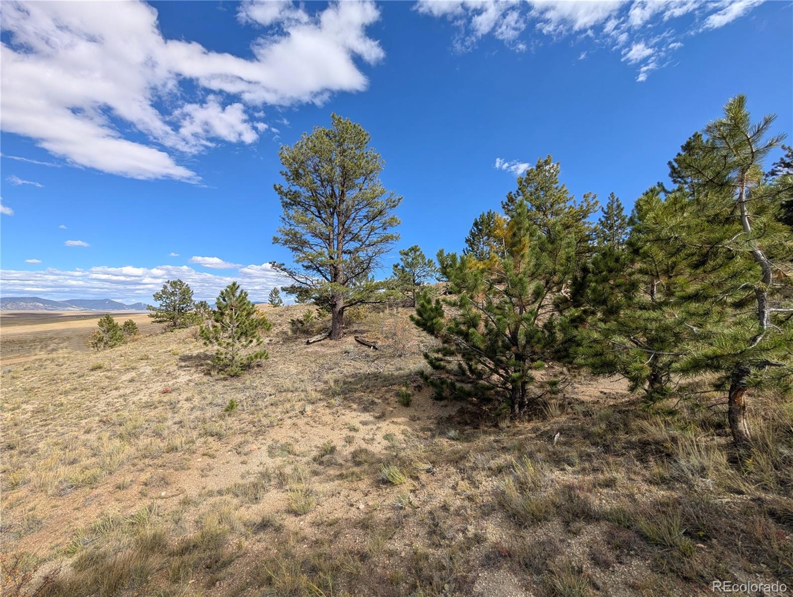 Tonkawa Road Hartsel, CO 80449 - Photo 9 of 16